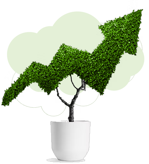 Growth Journey Image